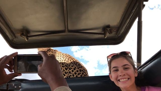 Incredible Cheetah Selfie In Serengeti