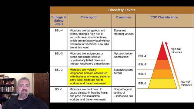 BSL Biosafety Levels: Microbiology Lab смотреть онлайн