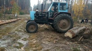 ЛТЗ Т-40АМ Работа в лесу Перевозка дров с телегой