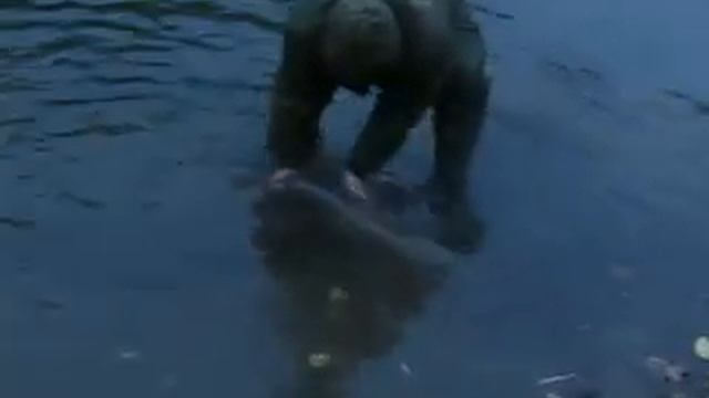 Рыбку мы отпустили...... Huge time broke all the gear... смотреть онлайн