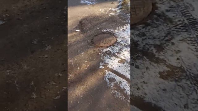 гуляем осенью в ноябре с друзьями43 часть