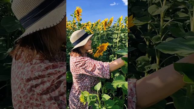 Хотите узнать, как будет