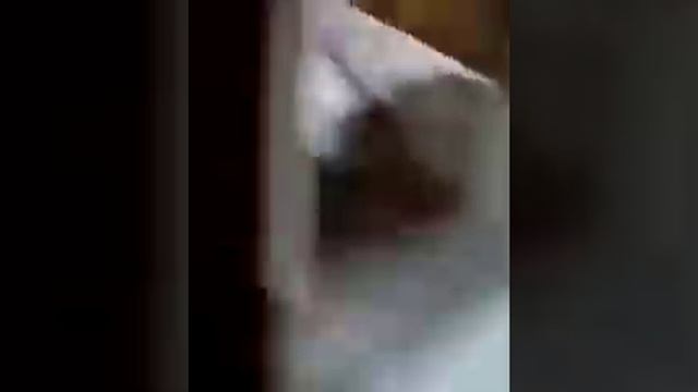 произведённый ремонт в подъезде N2 первого этажа смотреть онлайн