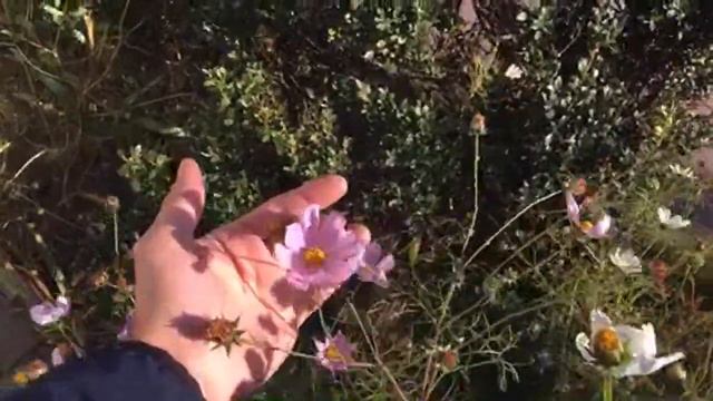 Город, который на юге 🔥 смотреть онлайн