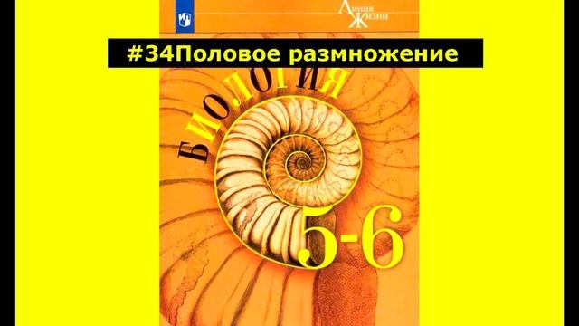 Биология #34 Половое размножение смотреть онлайн