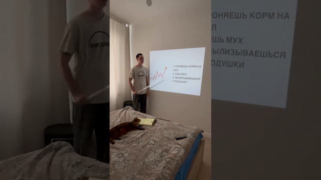 Наглядная презентация смотреть онлайн