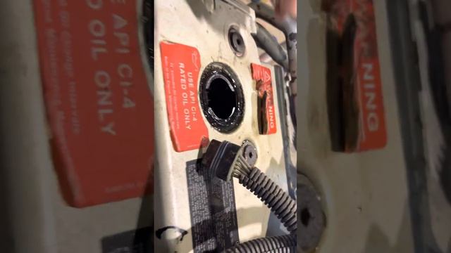 Mercedes 906 Calgary stock number 60186 смотреть онлайн