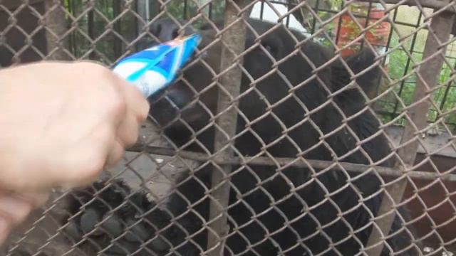 Реклама сгущенки смотреть онлайн