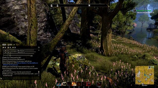 THE ELDER SCROLLS ONLINE (ESO): 4 ADDONS to improve the game that you should try смотреть онлайн