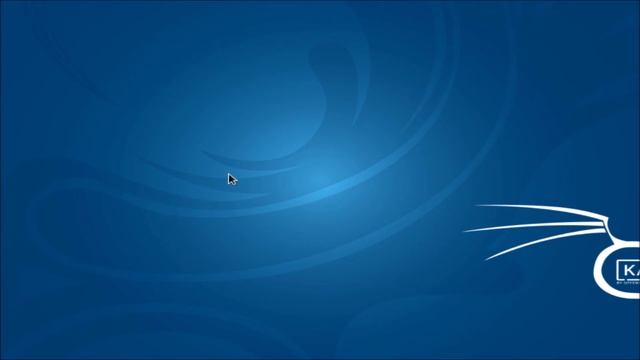 Как записать Kali Linux на флешку