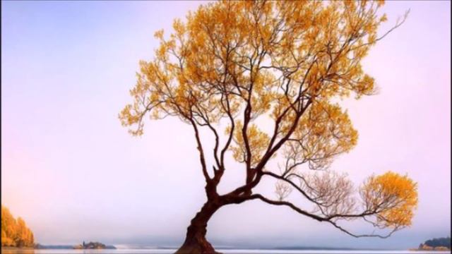 Gonah Ka Artikaab: Tuba Ki Fawaed: Love Islam NN смотреть онлайн