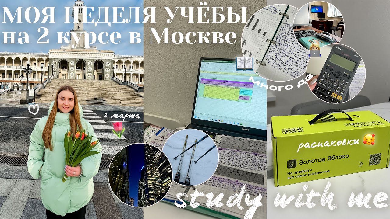 STUDY VLOG/моя УЧЕБНАЯ НЕДЕЛЯ на 2 КУРСЕ/стади виз ми/продуктивный влог/РАСПАКОВКА из зя и wb смотреть онлайн