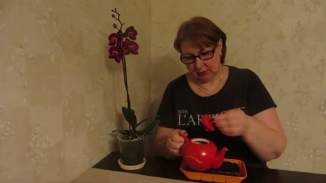 Шок для семян земляники и быстрые всходы. Семена из свежих магазинных ягод. смотреть онлайн