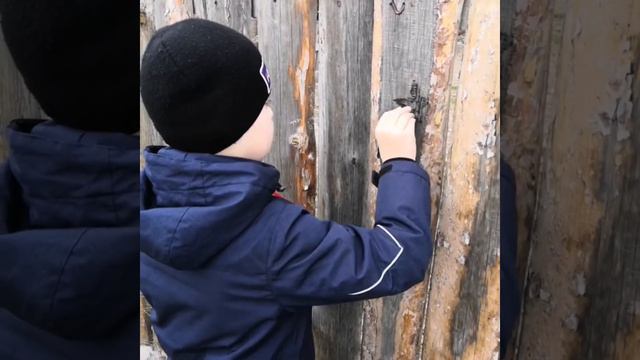 Буктрейлер Валеев Б. 4 класс, Башкирский лицей N1, г. Учалы смотреть онлайн