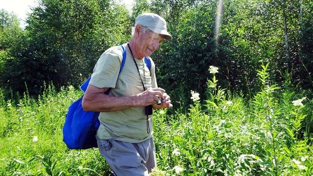 песня Друзей хороших много не бывает смотреть онлайн