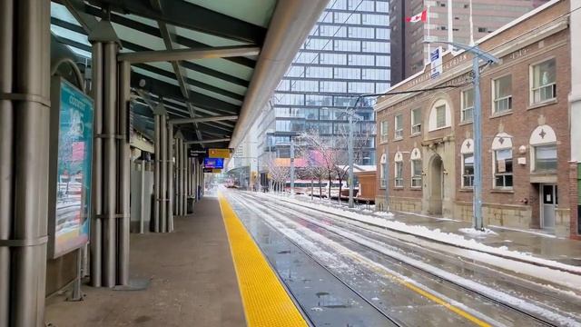 Calgary snowfall | Downtown Calgary snowfall walking tour on October 2022 #calgary #alberta #canada смотреть онлайн