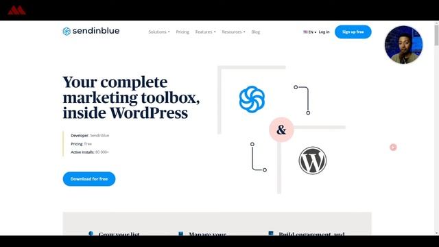 Top 3 Email Marketing plugins for WordPress in 2022 смотреть онлайн