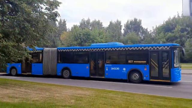 Moscow Buses | Московские автобусы (ул.Воронежская, метро Зябликово, 05.08.2022). Москва