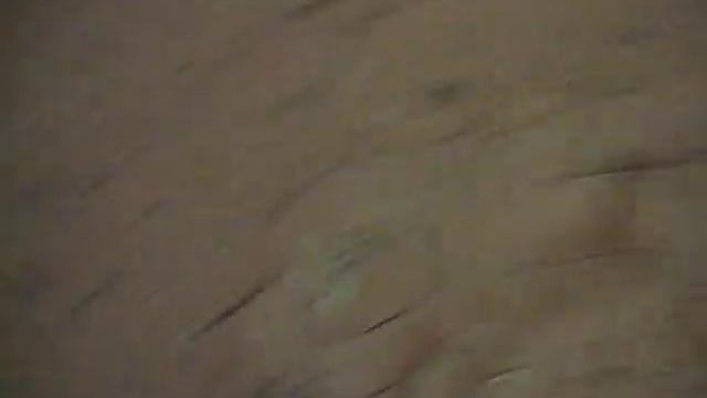 Котята ждут своего хозяина!!!! смотреть онлайн