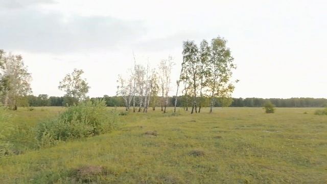 Простой прием в композиции в фотографии. Убираем все лишнее из кадра, фотографируем часть объекта. смотреть онлайн
