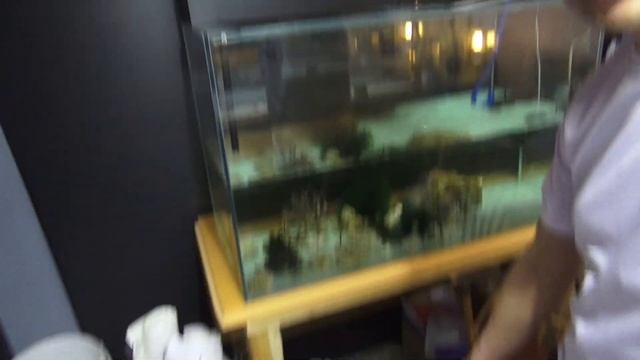 ЗА КОРАЛЛАМИ!5 ДЕНЬ АКВАРИУМУ! смотреть онлайн