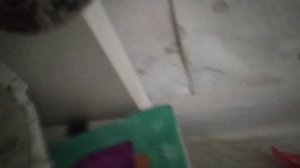 Утро с Басиком–Басик снял влог сам🌅