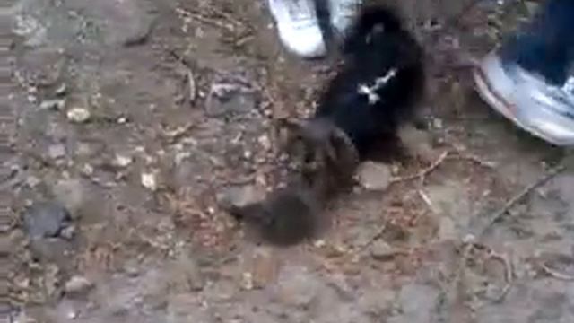 Детективы авторский фильм смотреть онлайн