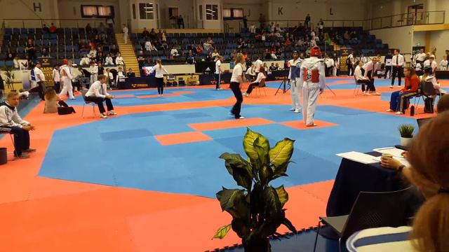 Ali amini taekwondo Skellefteå 2017 смотреть онлайн