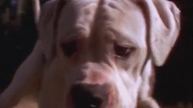 Перевод горчакова смотреть онлайн