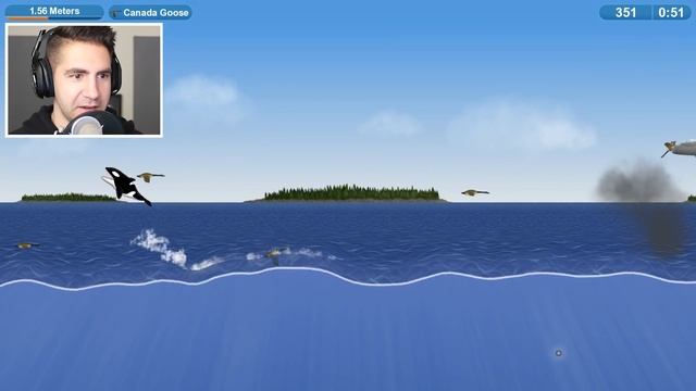KILLER WHALE vs FIGHTER JETS - Tasty Planet Forever | Pungence смотреть онлайн