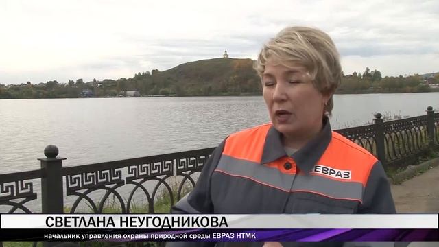 Почти пять тысяч особей белого амура запустили в Нижнетагильский пруд и Леневское водохранилище смотреть онлайн