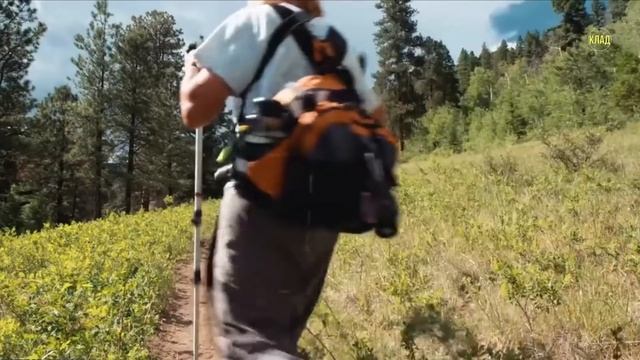 СУНДУК С ЗОЛОТОМ И СОКРОВИЩАМИ НАШЛИ КЛАДОИСКАТЕЛИ В ЛЕСУ!!! смотреть онлайн