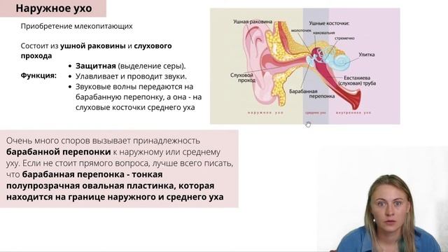 Анализаторы | Летний курс | БиоФАК 2022 смотреть онлайн