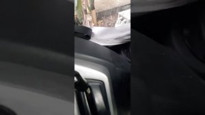 ОБЗОР КАБИНЫ ЭКСКОВАТОРА ПОГРУЗЧИКА  МСТ 644 PLUS