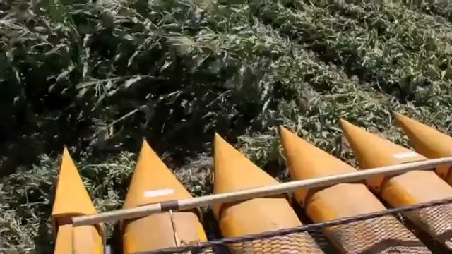Машины для уборки кукурузы в початке Oxbo моделей 2460 и 2485 смотреть онлайн