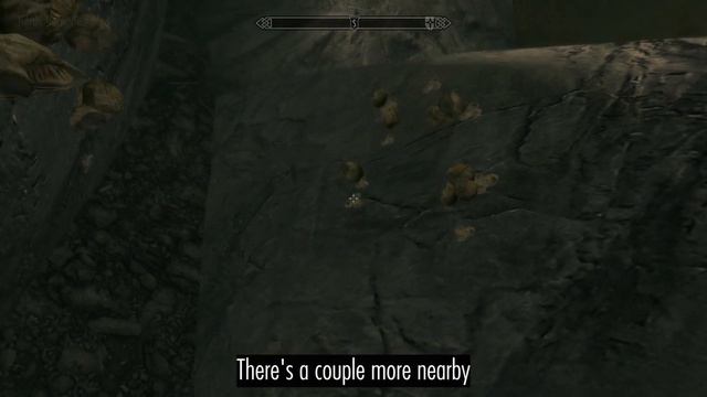 Brynjar, The True Ebony Warrior: Skyrim SE Build