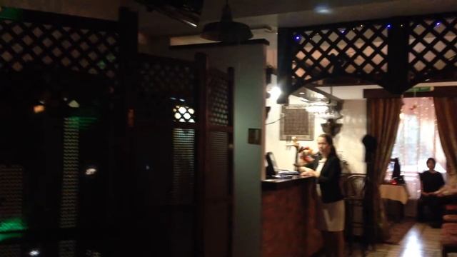 Ресторан Дунай поет Алина смотреть онлайн