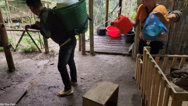 Harvest Sweet Potato Garden & Catch Snails To Bring To The Market To Sell | Hà Tòn Chài
