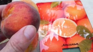 Вкуснейший сорт! Персик Юбилейный, четыре года. Долгожданный урожай!