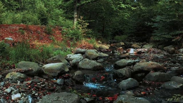 Рубрика ЗАБЫТЫЕ СУННЫ | ХАДИС ПРО ДОЛГ смотреть онлайн