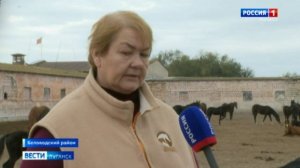 Деркульский конезавод получил новых скакунов