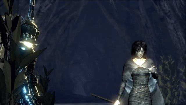 below the Nexus - after defeating the true King Allant the XII смотреть онлайн