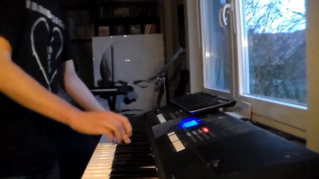 Rammstein - "Kokain" Keyboard Cover смотреть онлайн