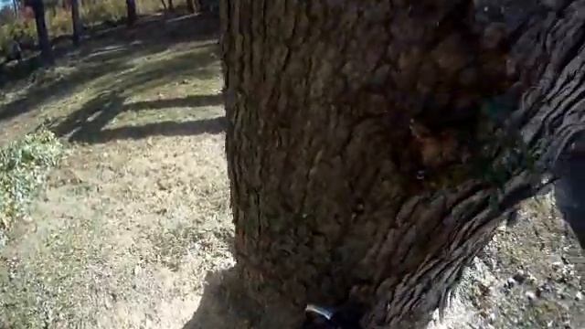 Hermans Tree Service removing large Maple part 3 of 3 смотреть онлайн