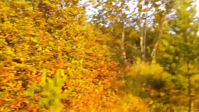 Прогулка в жаркий август смотреть онлайн