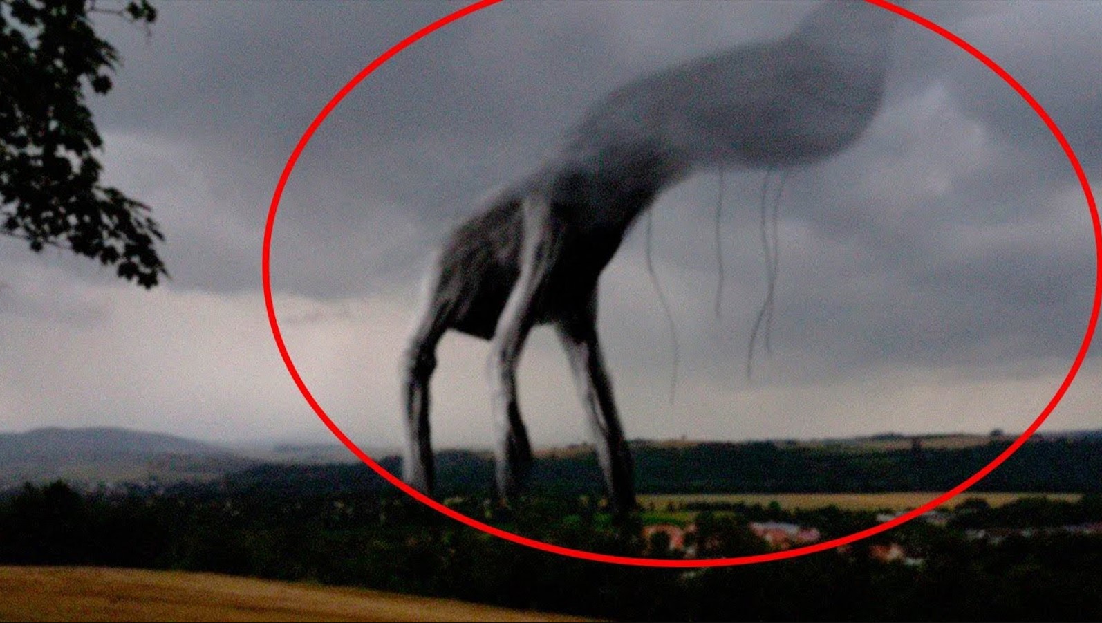 10 Гигантских Страшных Монстров, Снятых На Камеру. смотреть онлайн