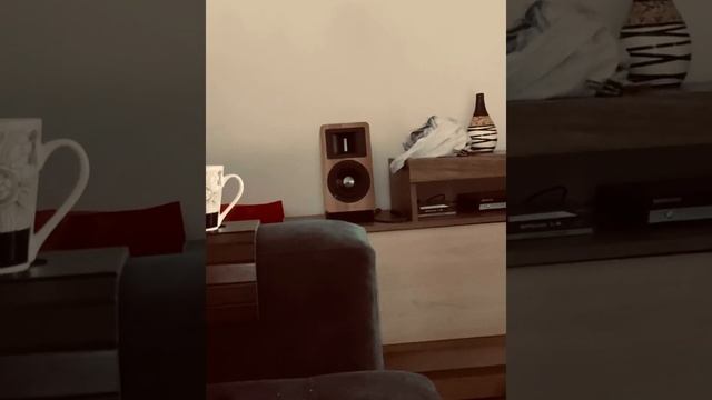 Airpulse A80 смотреть онлайн