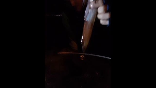 Сезон 2018.Ловля кальмара с берега на Кипре.Часть - 1. смотреть онлайн