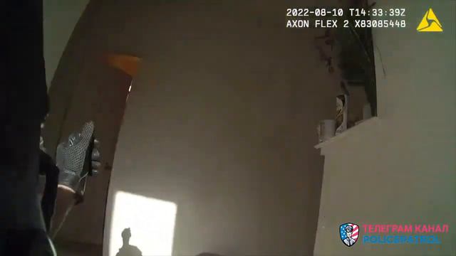 Сумасшедший мечник / Применение оружия полицией смотреть онлайн