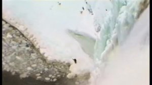 Зона тундры и лесотундры